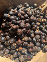 Load image into Gallery viewer, Goron Tula 20pieces